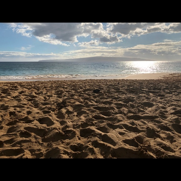 Meet your Posher, Cassandra - Picture 1 of 1